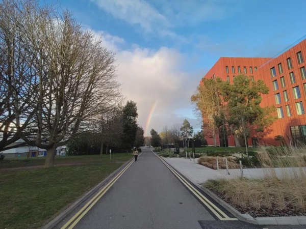 同花配 今年会重新火爆的几所英国大学！