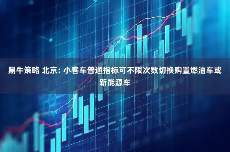 黑牛策略 北京: 小客车普通指标可不限次数切换购置燃油车或新能源车