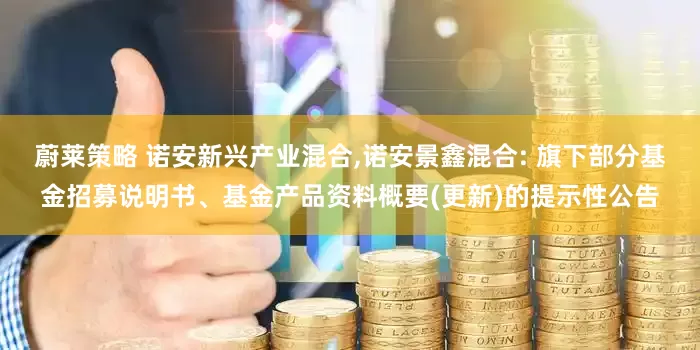蔚莱策略 诺安新兴产业混合,诺安景鑫混合: 旗下部分基金招募说明书、基金产品资料概要(更新)的提示性公告